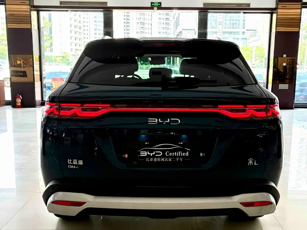 BYD L DM-i — фото 6