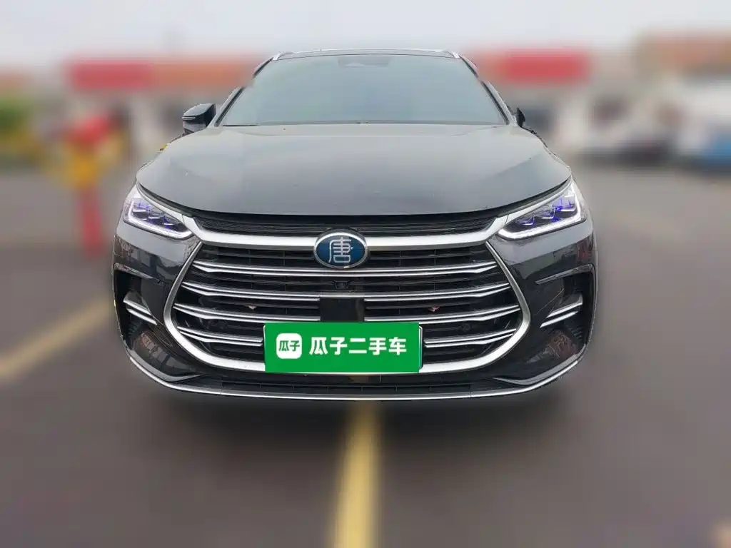 BYD Tang New Energy — фото 24