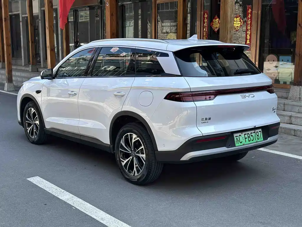 BYD Pro New Energy — фото 11