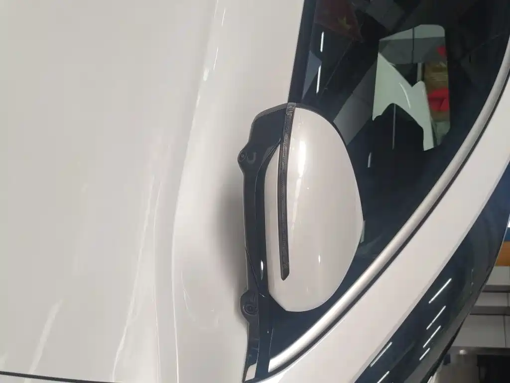 BYD Pro New Energy — фото 13