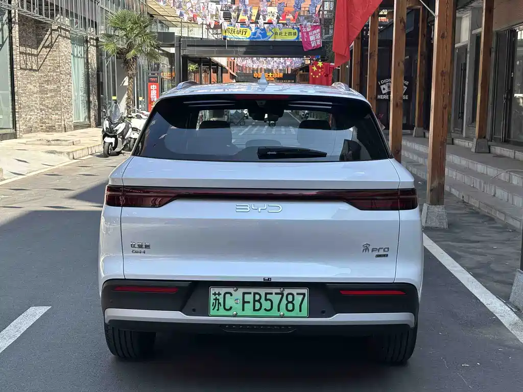 BYD Pro New Energy — фото 10