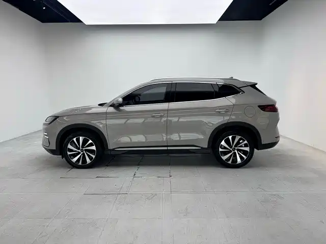 BYD PLUS New Energy — фото 3