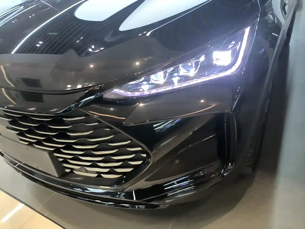 BYD Tang New Energy — фото 18