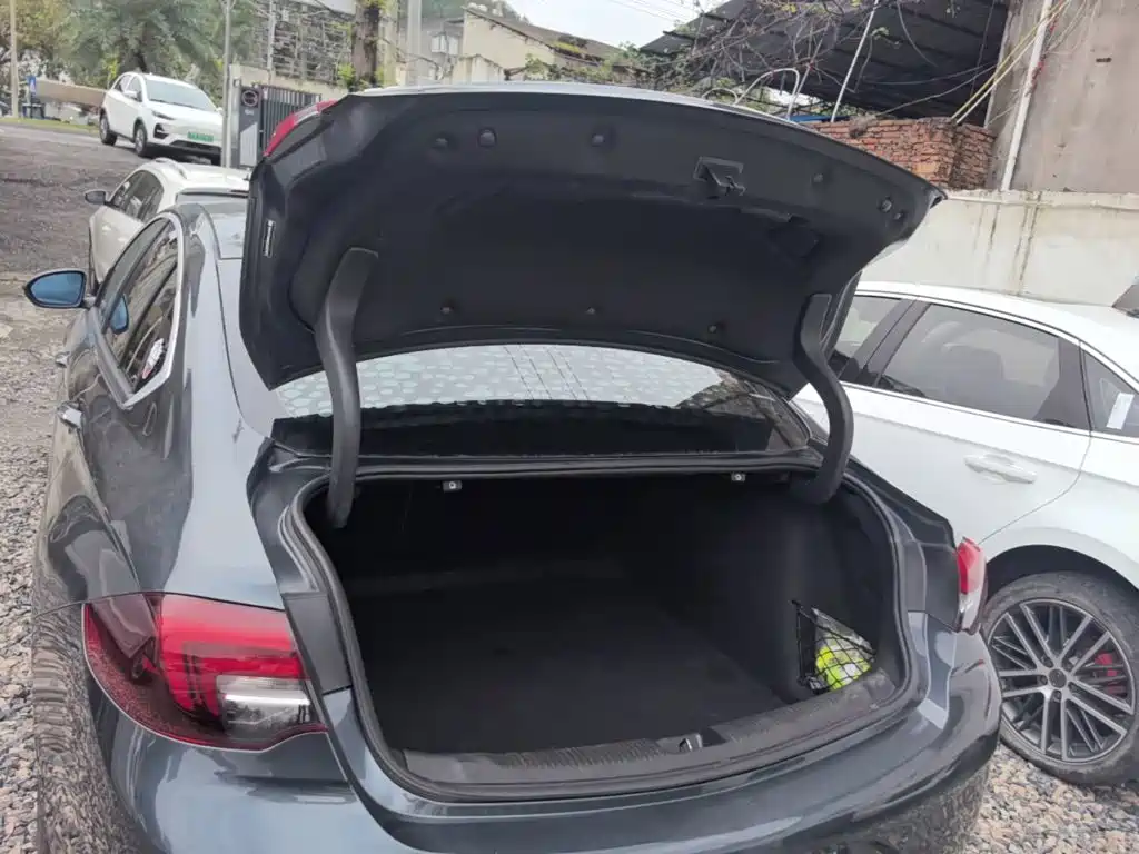 Buick Regal — фото 19