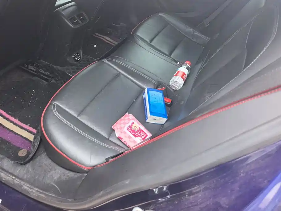 Buick Regal — фото 11