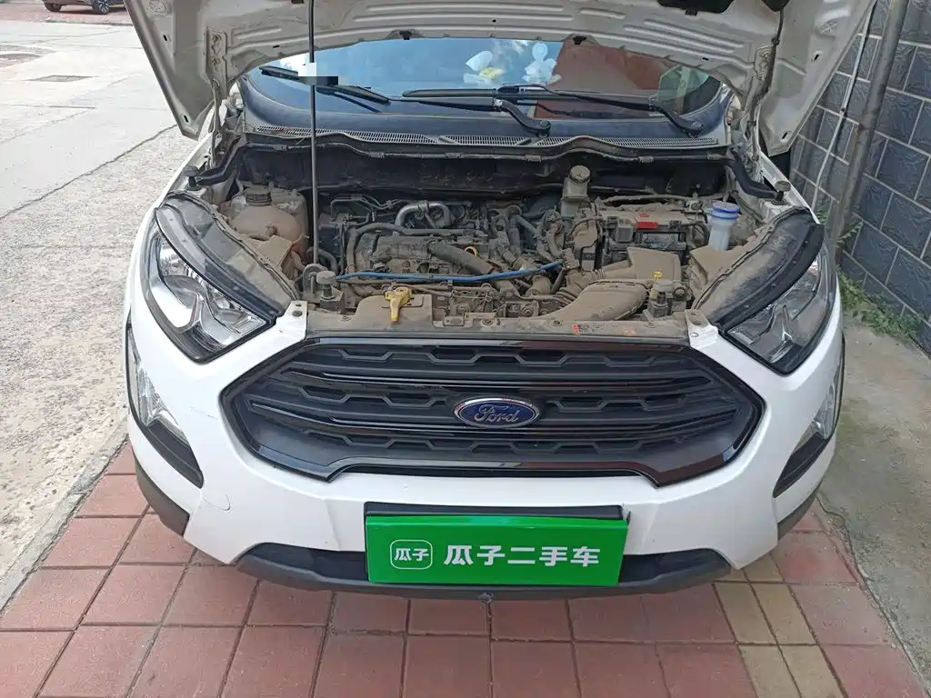 Ford Ecosport — фото 11