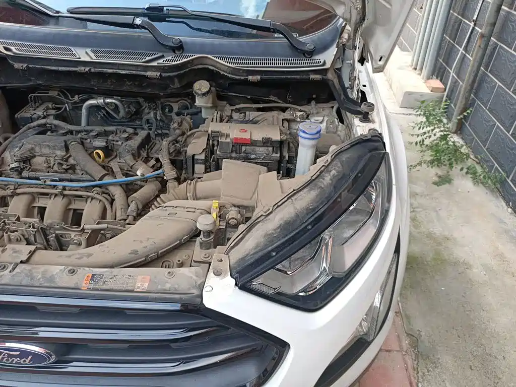 Ford Ecosport — фото 22