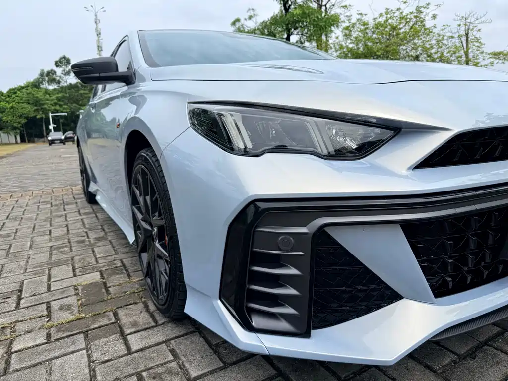 GAC Motor Shadow Leopard — фото 28