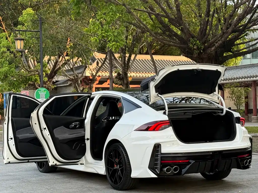 GAC Motor Shadow Leopard — фото 20