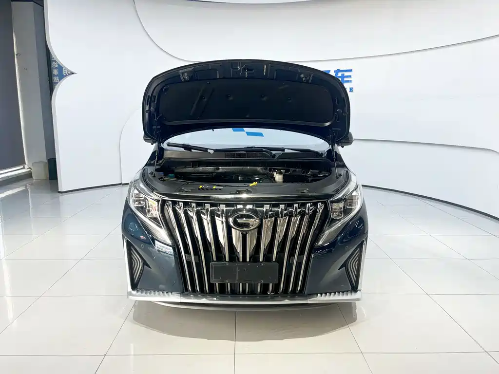 GAC Motor Trumpchi M8 — фото 9