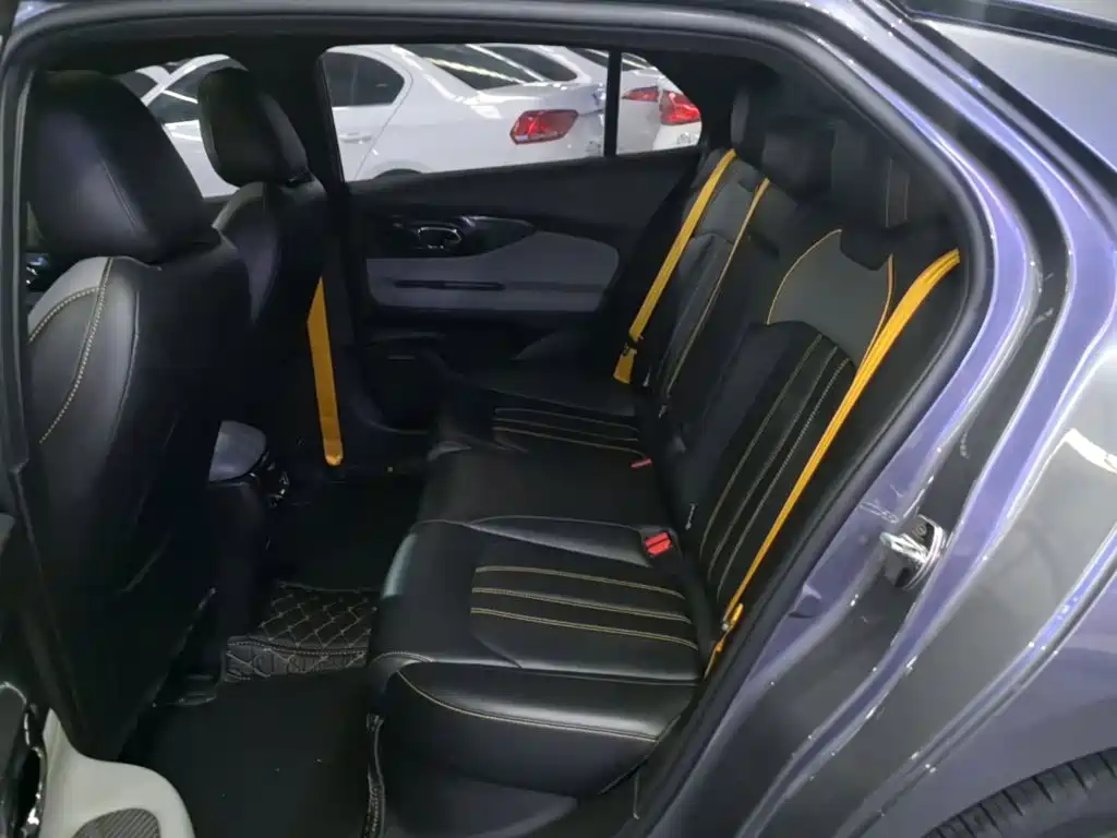 GAC Motor Shadow Leopard — фото 17