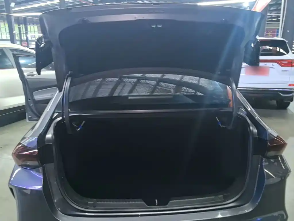 GAC Motor Shadow Leopard — фото 19
