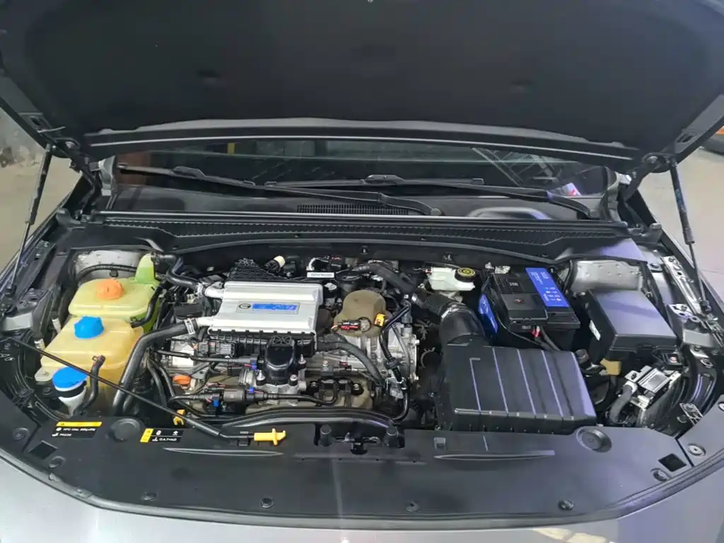 GAC Motor Shadow Leopard — фото 20