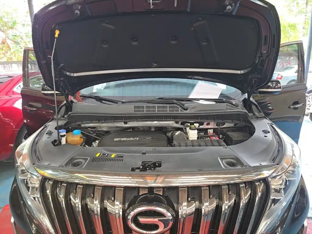 GAC Motor Trumpchi M8 — фото 20