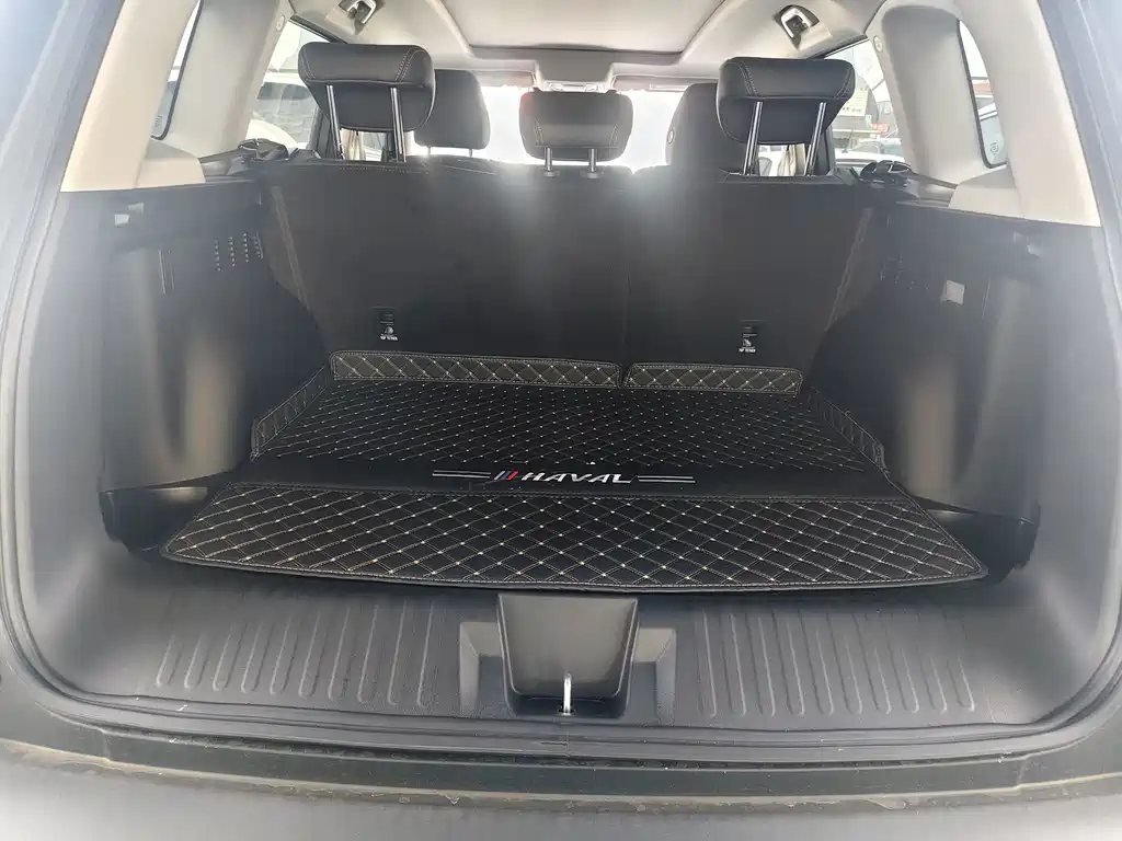 Haval Big Dog — фото 11