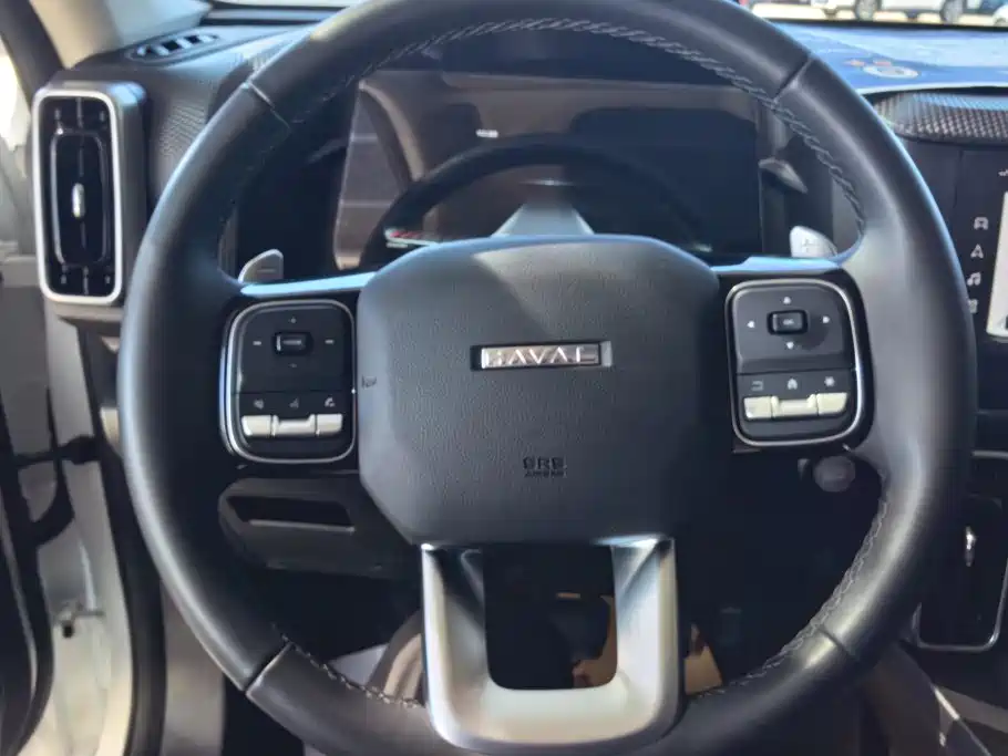 Haval Big Dog — фото 15