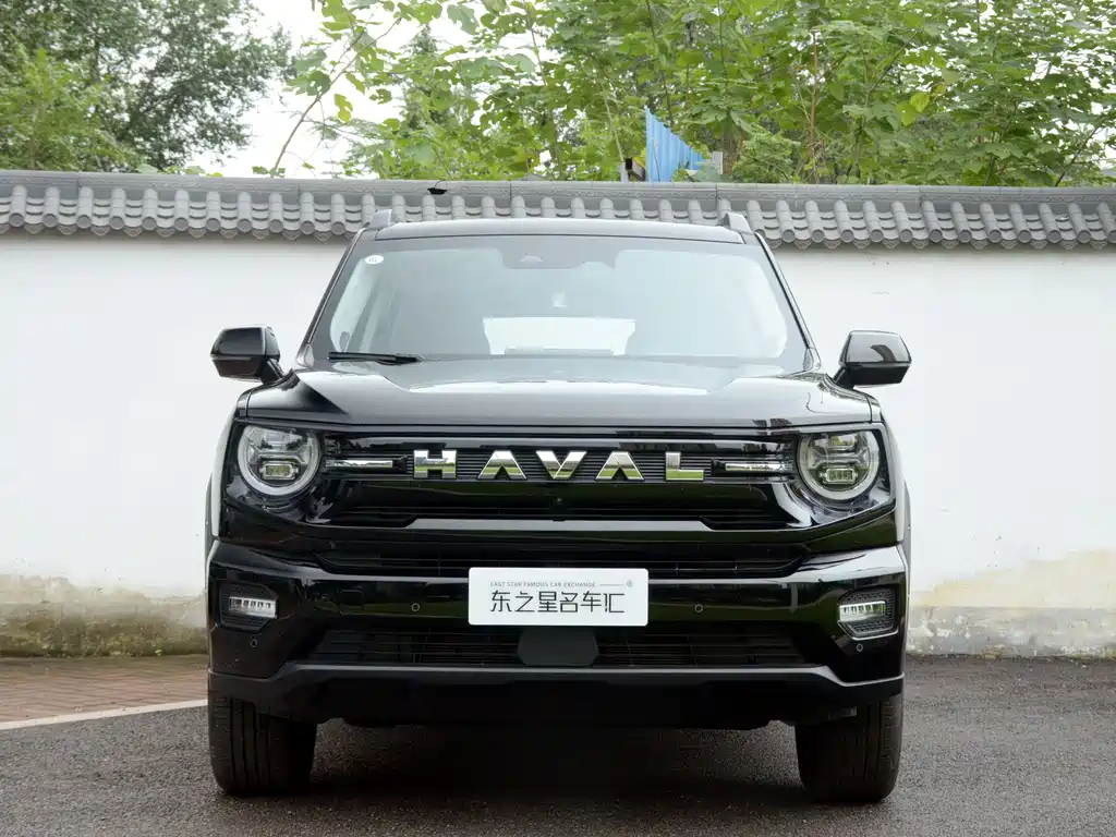Haval Big Dog PLUS — фото 2