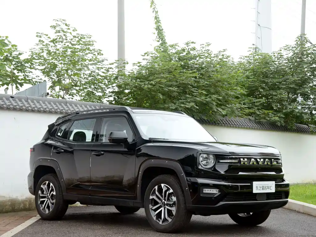 Haval Big Dog PLUS — фото 3