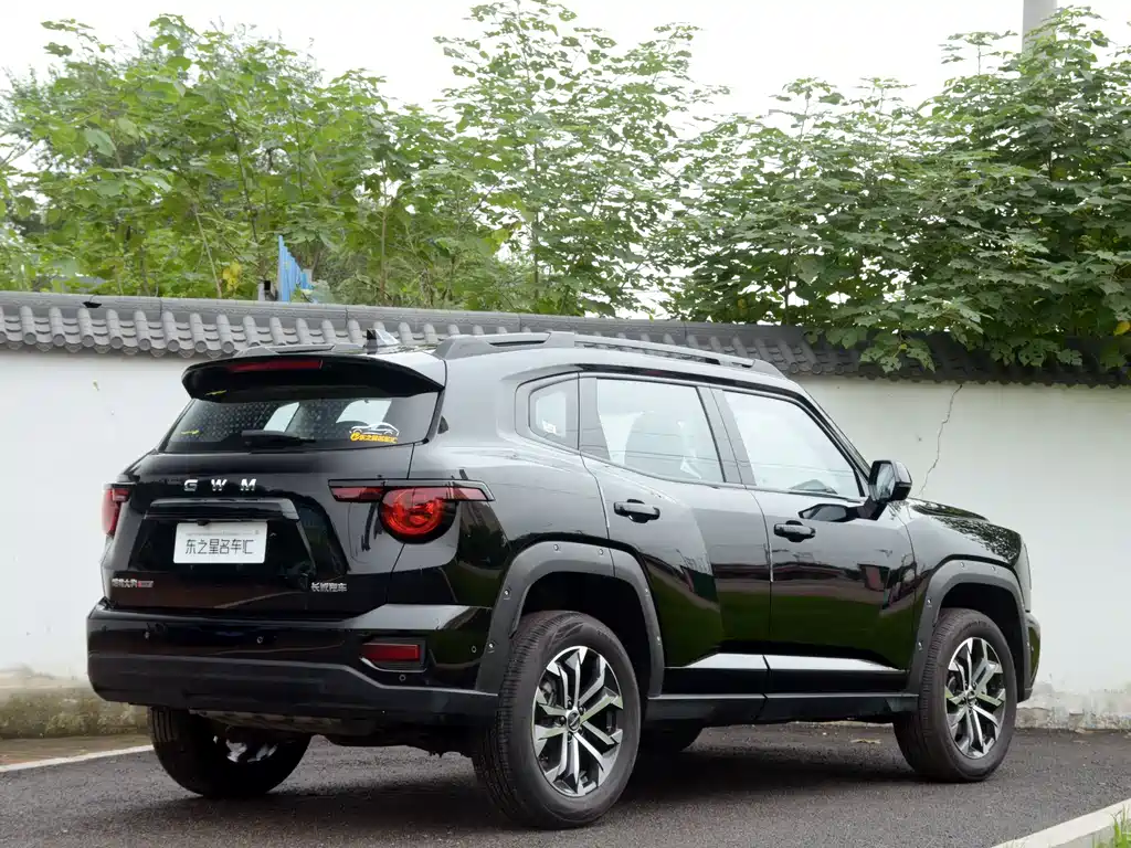 Haval Big Dog PLUS — фото 6