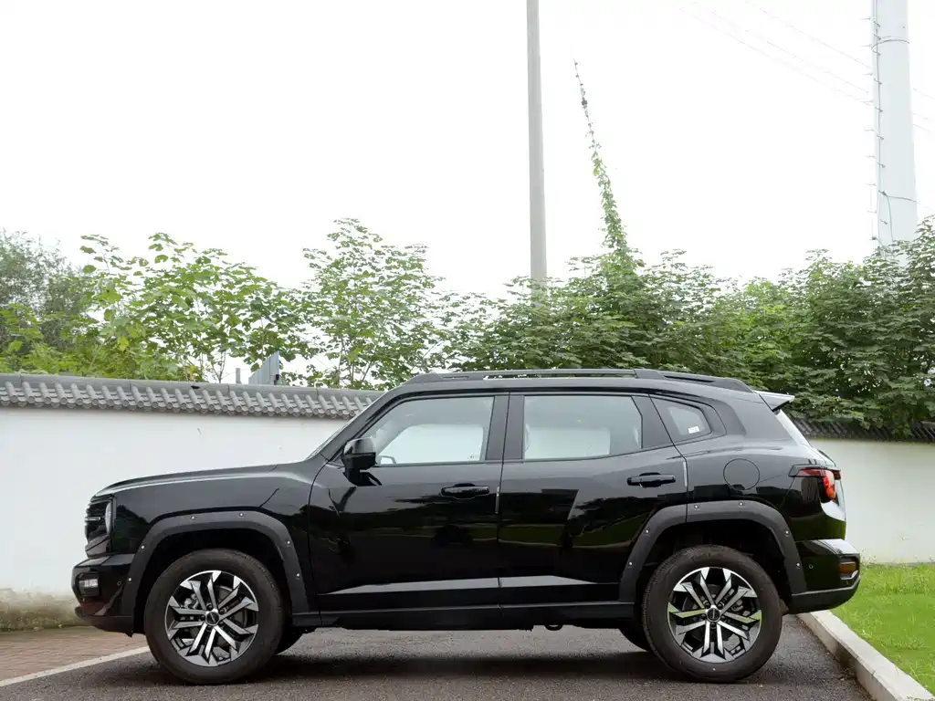 Haval Big Dog PLUS — фото 7