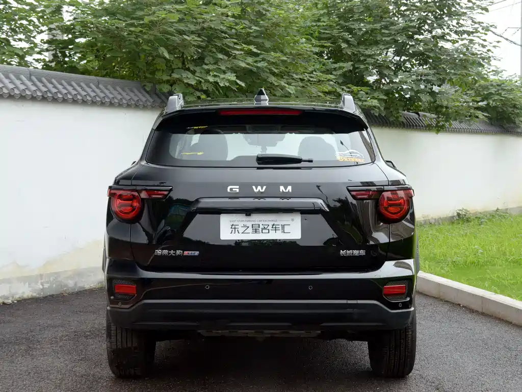 Haval Big Dog PLUS — фото 8