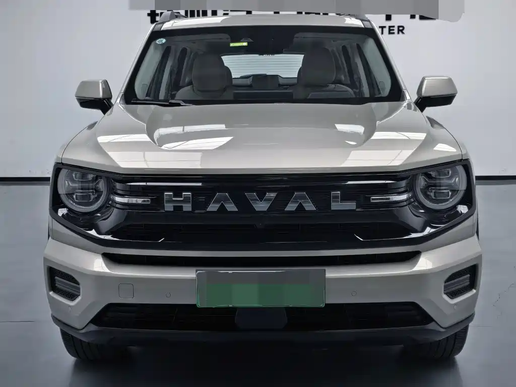 Haval Big Dog PLUS New Energy — фото 2