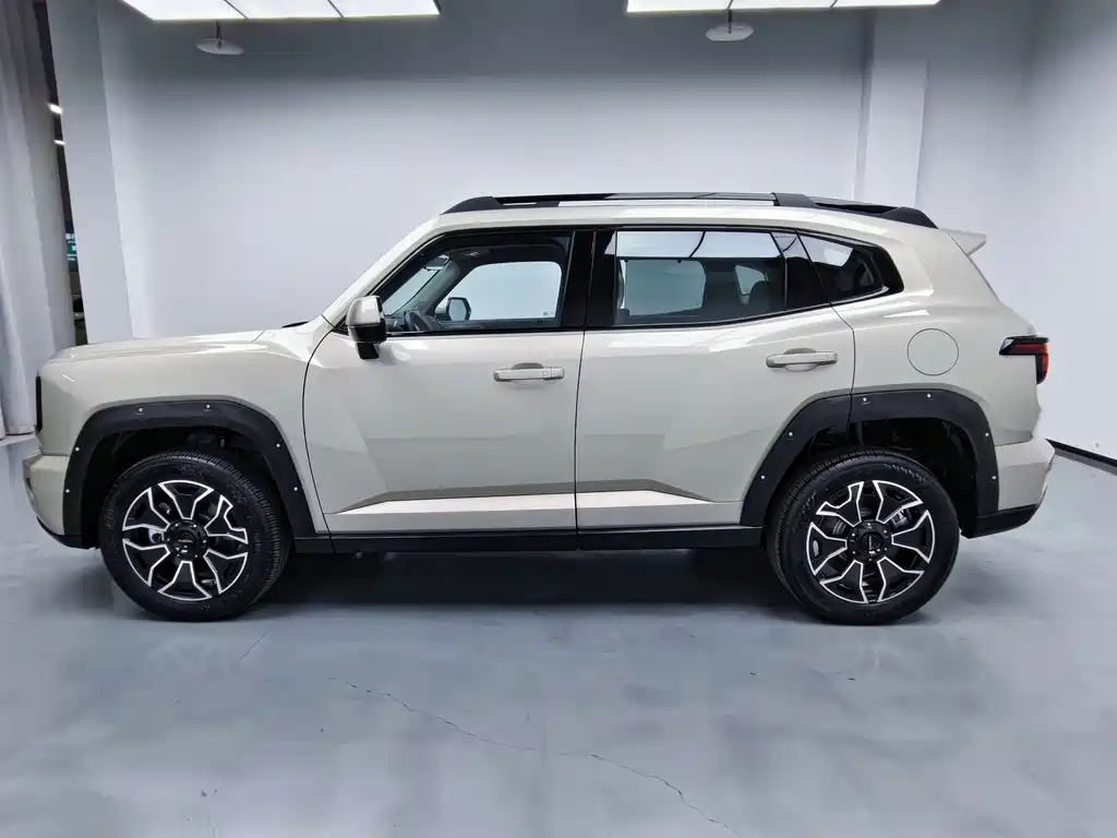 Haval Big Dog PLUS New Energy — фото 11