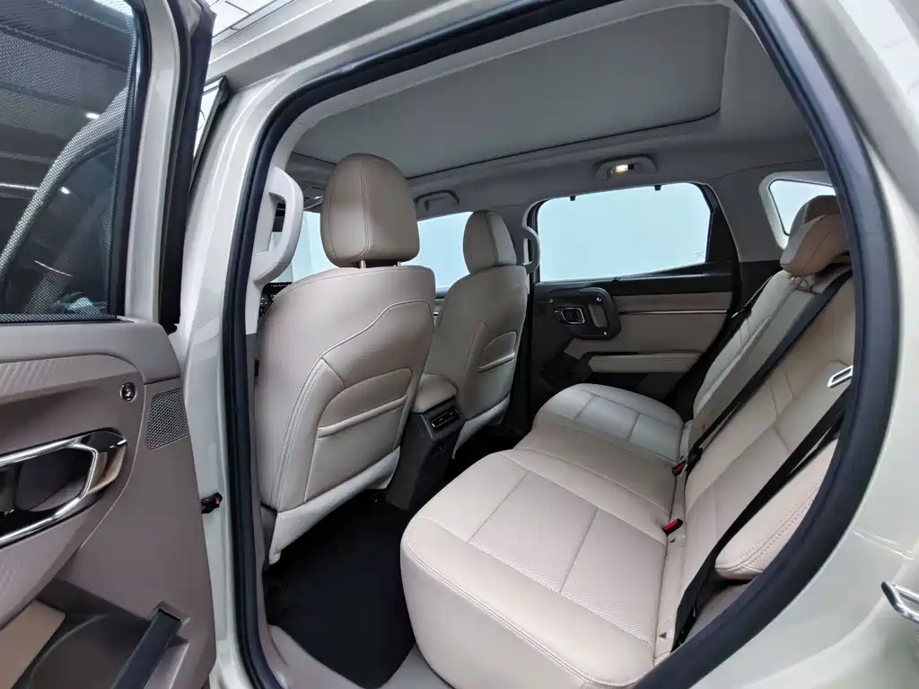 Haval Big Dog PLUS New Energy — фото 6