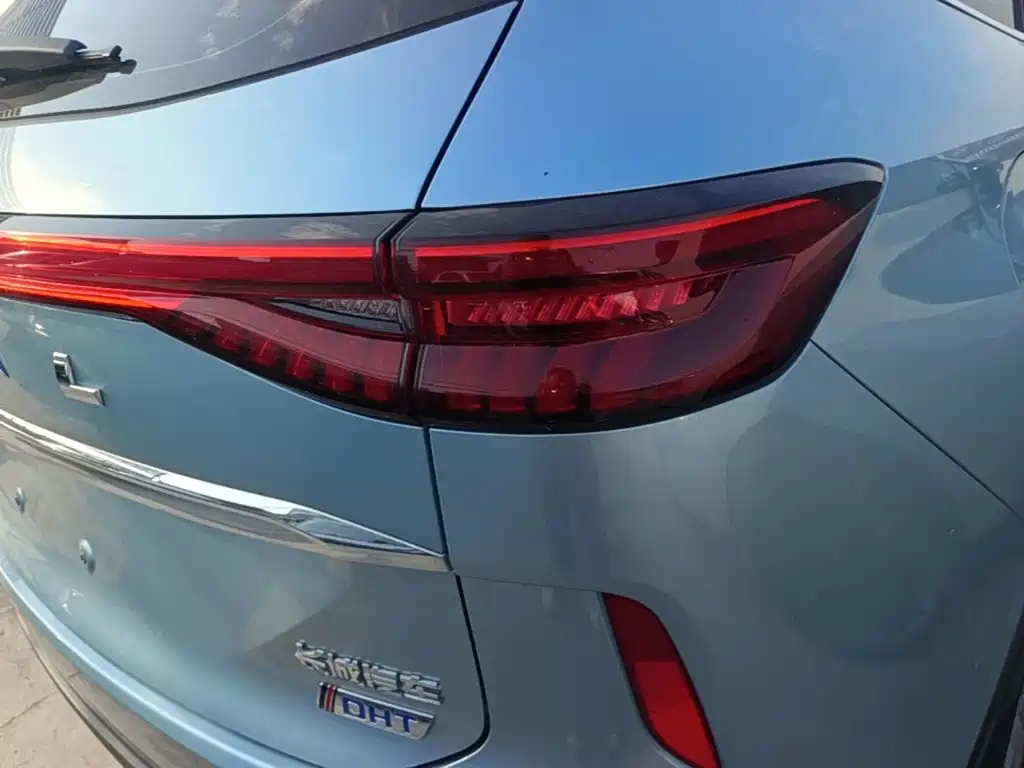 Haval H6 New Energy — фото 8