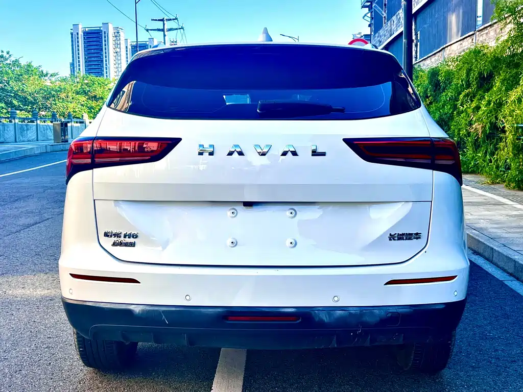 Haval H6 — фото 8