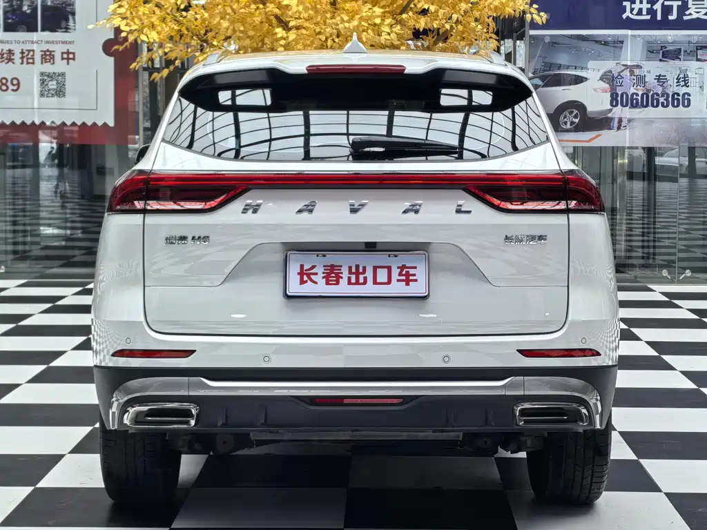 Haval H6 — фото 5