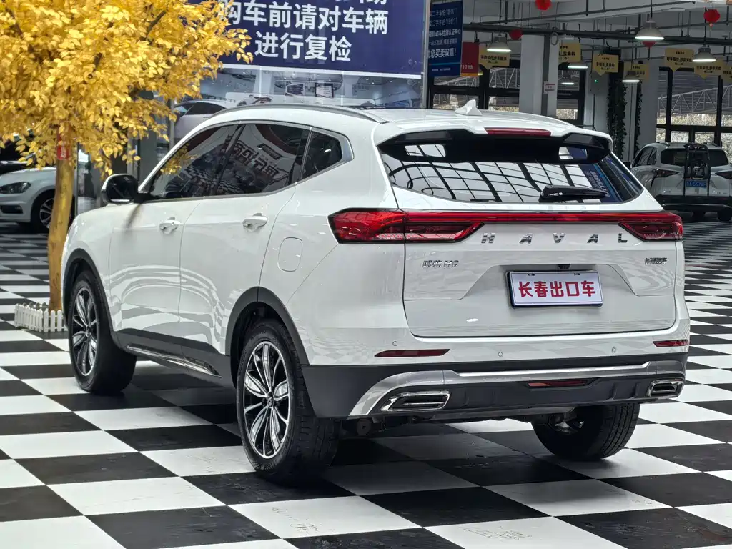 Haval H6 — фото 6