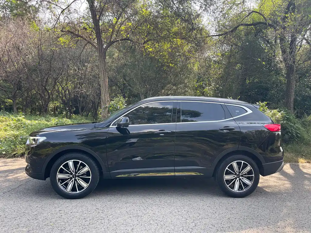 Haval H6 — фото 13