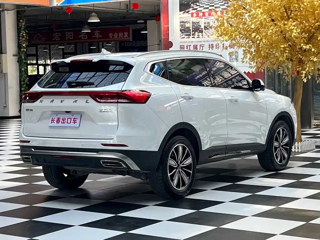 Haval H6 — фото 6