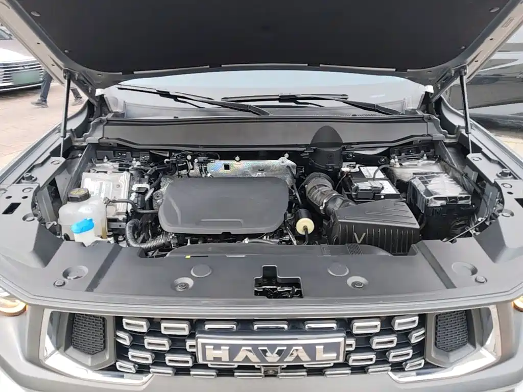 Haval Big Dog PLUS — фото 20