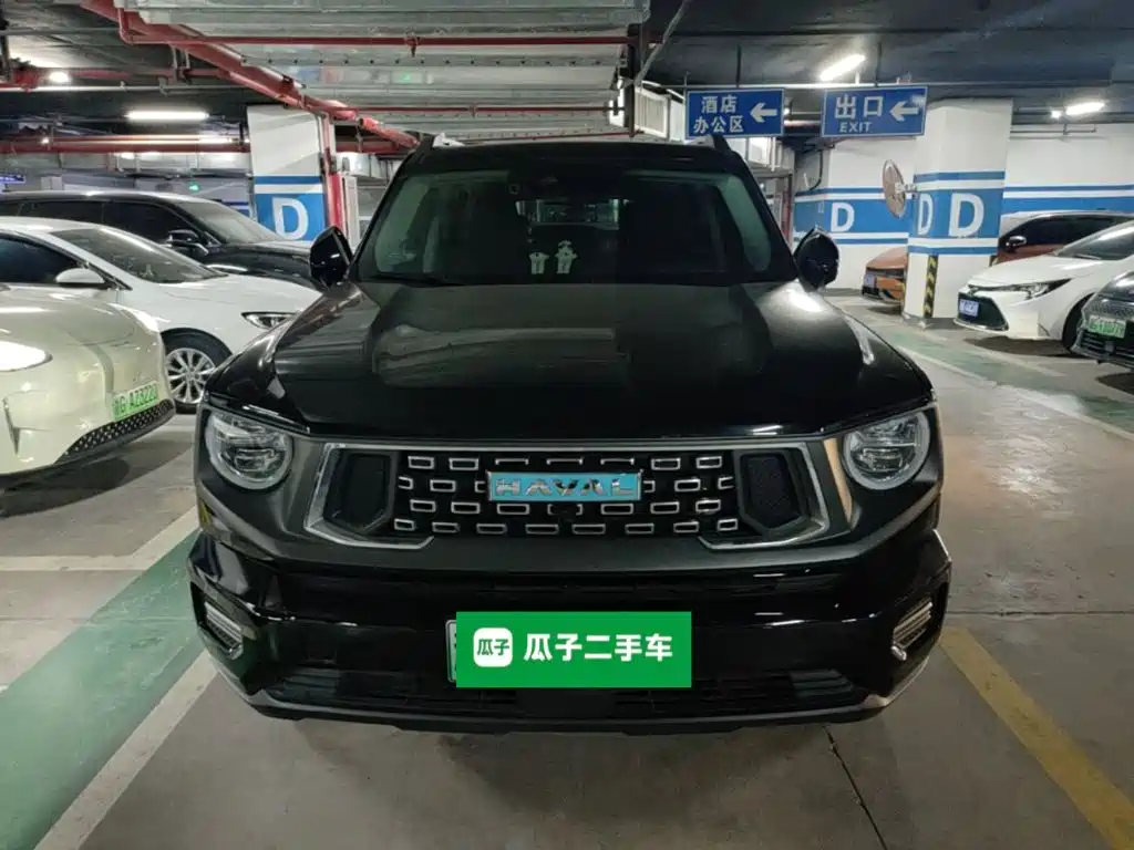 Haval Big Dog PLUS New Energy — фото 2