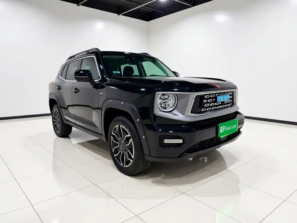 Haval Big Dog PLUS New Energy — фото 3