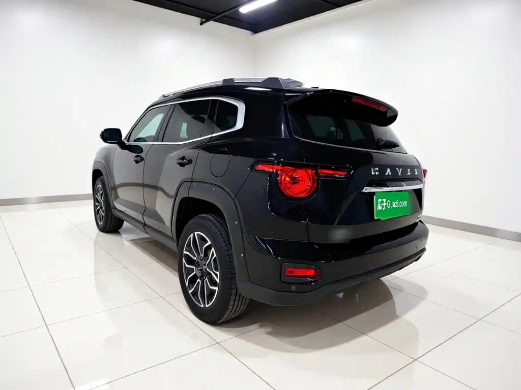 Haval Big Dog PLUS New Energy — фото 5