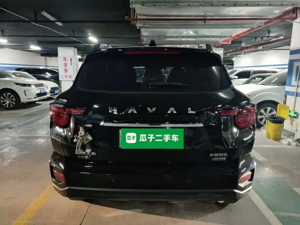 Haval Big Dog PLUS New Energy — фото 6
