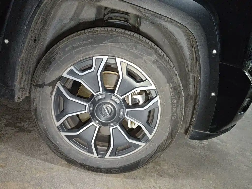 Haval Big Dog PLUS New Energy — фото 9