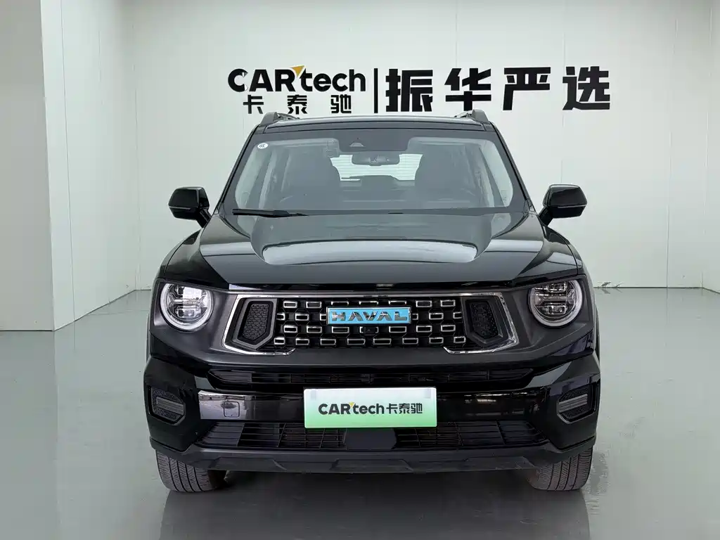 Haval Big Dog PLUS New Energy — фото 2