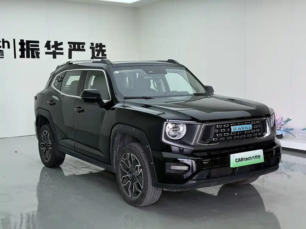 Haval Big Dog PLUS New Energy — фото 3
