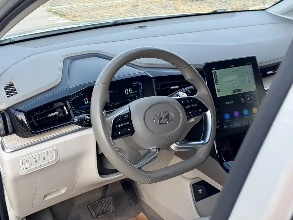 Hyundai Custo — фото 25