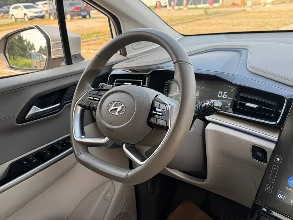 Hyundai Custo — фото 32