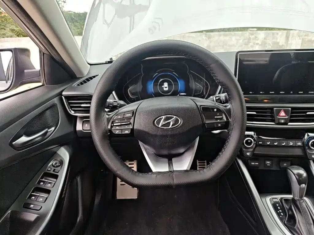 Hyundai Fista — фото 11