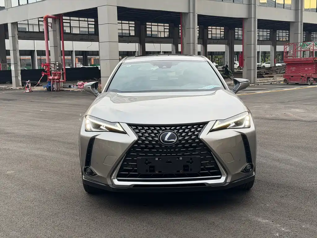 Lexus UX New Energy — фото 2