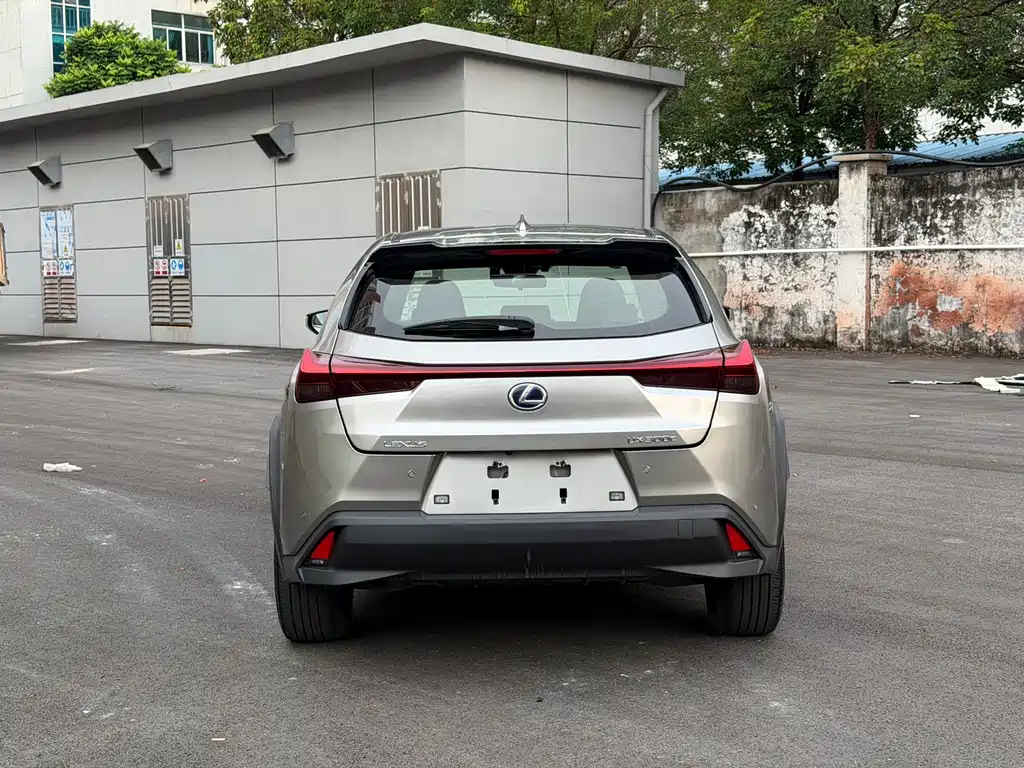 Lexus UX New Energy — фото 11