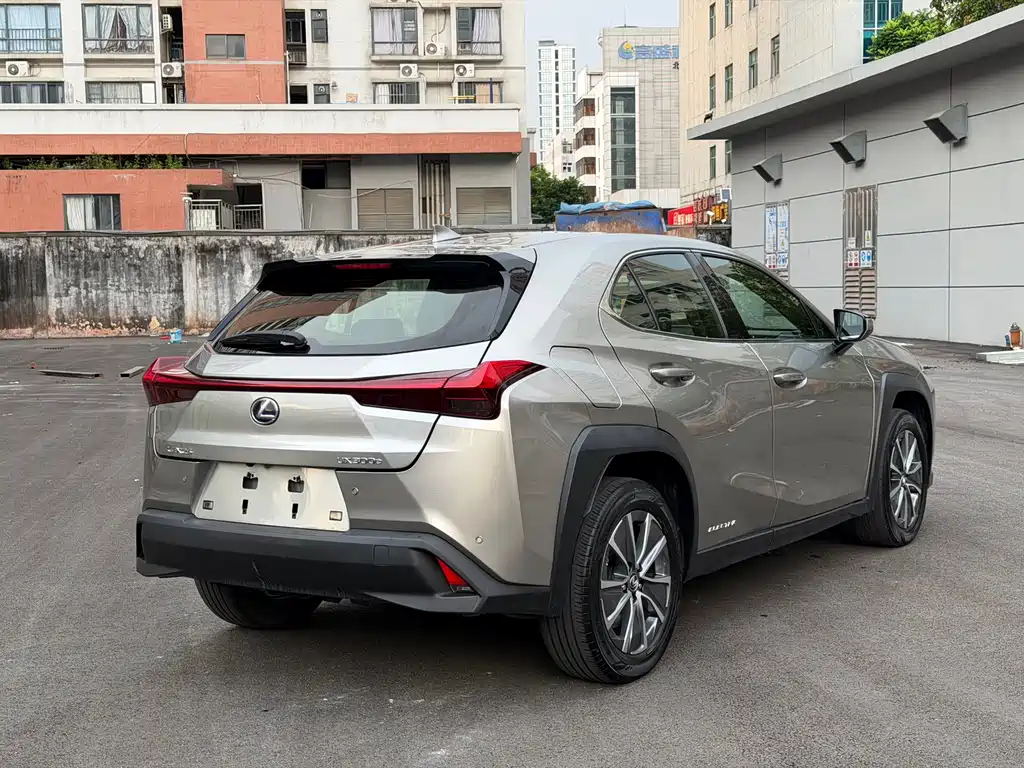 Lexus UX New Energy — фото 13