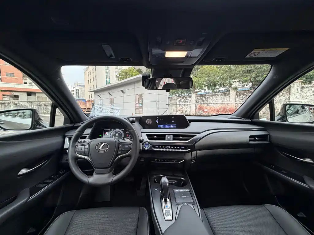 Lexus UX New Energy — фото 6