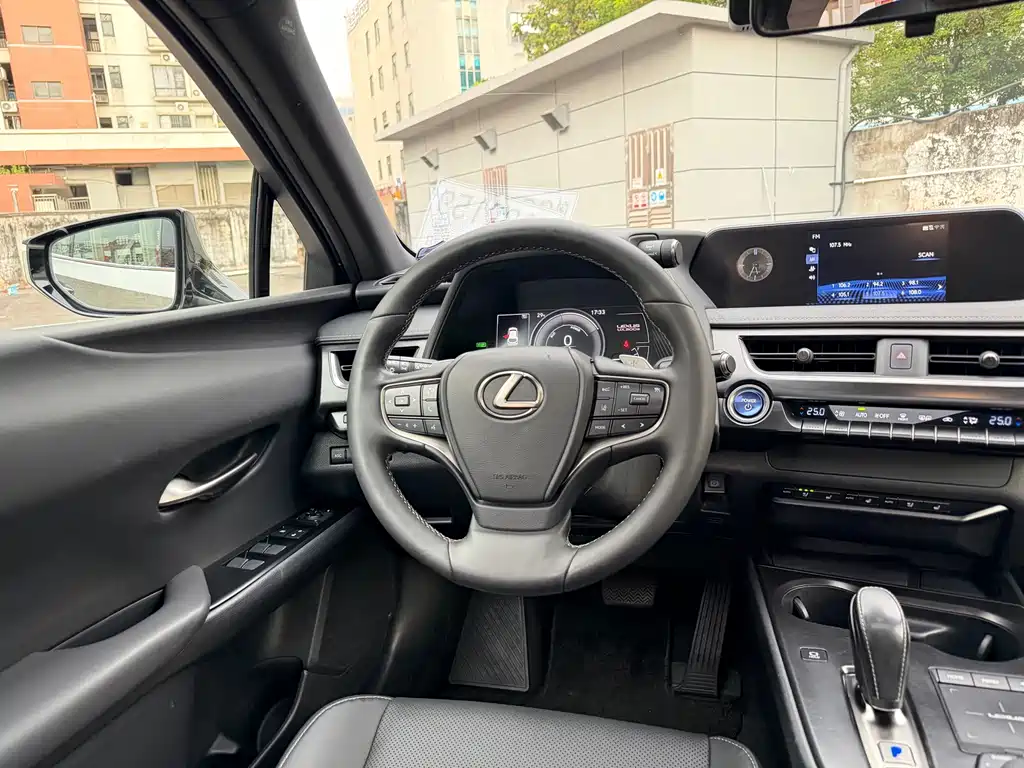 Lexus UX New Energy — фото 7